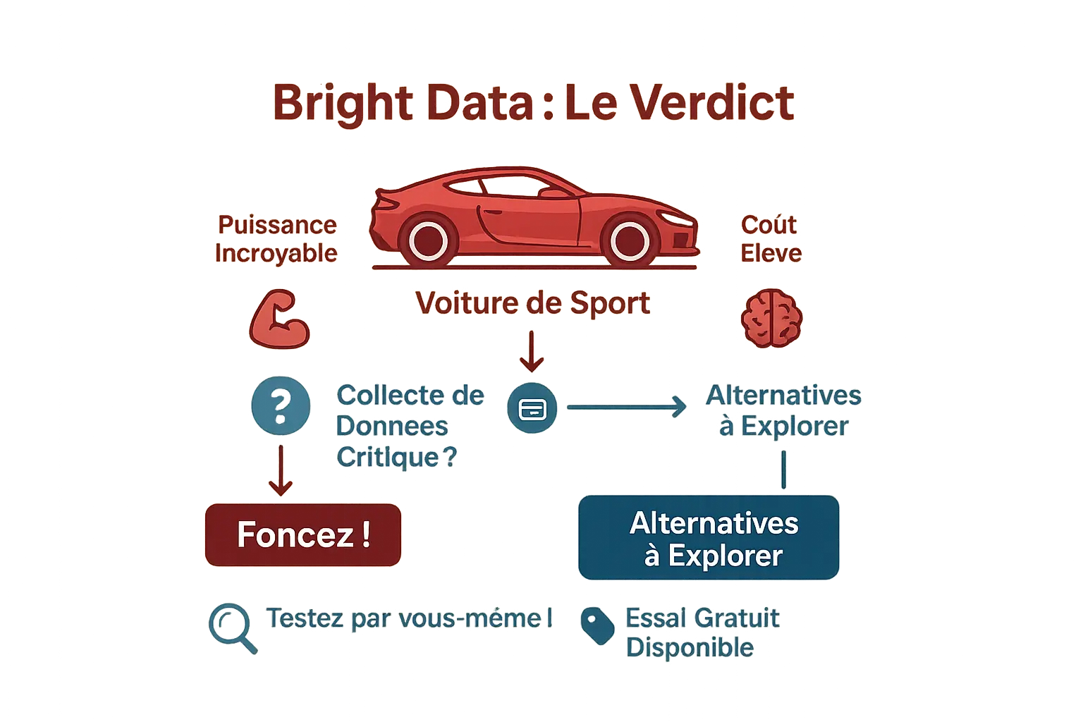Infographie décisionnelle Bright Data