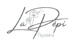 Agence d'automatisation IA pour PME - Inforeole 10 Logo La Pépi pépinière