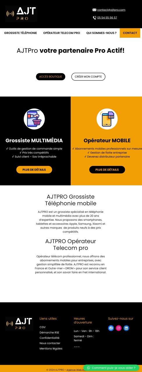 Site vitrine Wordpress professionel 2